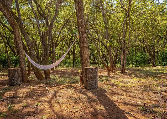Сasa de vacaciones Casa Los Amigos Brasilito